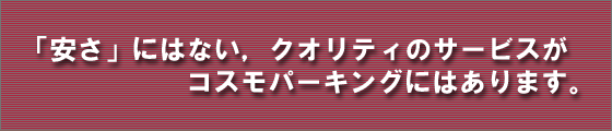 �����ɂ͂Ȃ��A�N�I���e�B�̃T�[�r�X���R�X���p�[�L���O�ɂ͂���܂��B