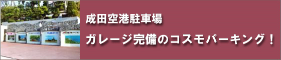 ���c��`���ԏ�@�K���[�W�����̃R�X���p�[�L���O�I