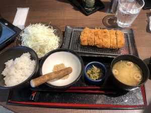 ヒレカツ新宿サボテン